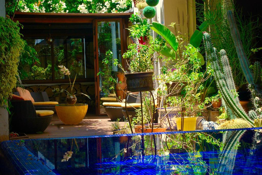 Bed & Breakfast Dar Diafa